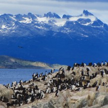 Tierra del Fuego - Argentina